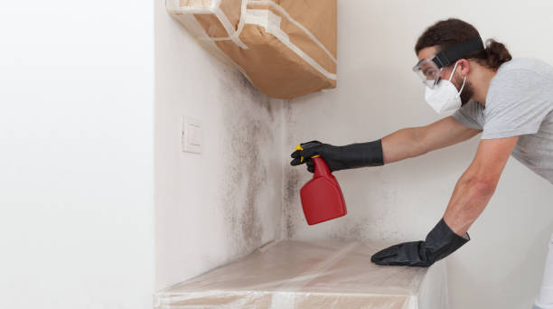 Professional Commercial Mold Remediation technician working in Okanogan, WA