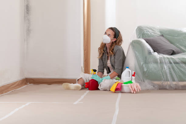 Reliable Commercial Mold Remediation contractor in Okanogan, WA by 24 Hour Mold Removal